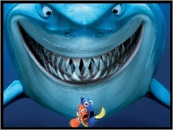 Rekin, Jest, Gdzie, Nemo