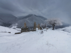 Góry, Drzewo, Ruiny, Kaukaz, Erzi, Republika Inguszetii, Rosja, Wieże obronne, Zima, Drzewa