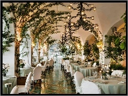 Bluszcz, Restauracja, Łuki