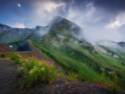 Zbocze, Aibga Ridge, Kaukaz, Chmury, Kraj Krasnodarski, Rosja, Droga, Góry, Kwiaty