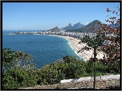 Rio De Janeiro, Morze, Plaża, Drzewa