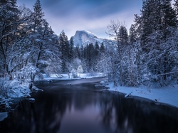 Drzewa, Zima, Rzeka Merced River, Stan Kalifornia, Stany Zjednoczone, Góry, Park Narodowy Yosemite, Las