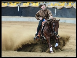 Koń, Rodeo, Kowboj