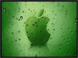 Rosa, Zielone, Apple, Logo, Tło