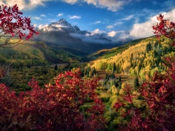 Kolorowa, Góry, Drzewa, Roślinność, Jesień, Drzewa