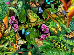 Roślinność Zwierzęta, Motyle, Żaby, Grafika, Liście