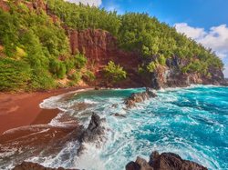 Roślinność, Morze, Wyspa Maui, Hawaje, Skały