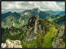 Rośliność, Chmury, Wysokość, Góra, Drzewa