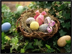 Rośliny, Wielkanocne, Gniazdko, Jajka