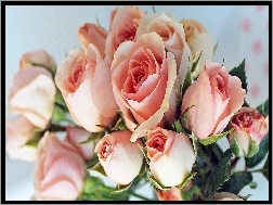 Róż, Cudownych, Bukiet, Różowych