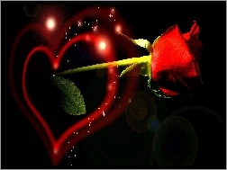 Róża, Serce, Walentynki, Czerwona