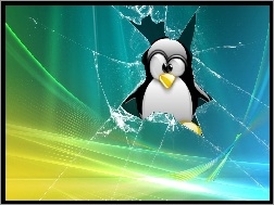 rozbicie, Pingwin, Linux, Vista