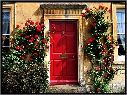 Róże, Czerwone, Dom, Drzwi