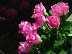 Róże, Bukiet, Kwiaty, Różowe