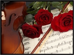 Róże, Muzyczny, Instrument, Skrzypce, Nuty