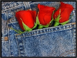Spodni, Róże, Kieszeń
