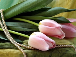 Perły, Różowe, Tulipany