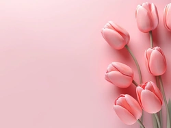 Różowe tło, Kwiaty, Różowe, 2D, Tulipany