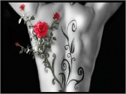 Róży, Tatuaż, Plecy, Gałązka
