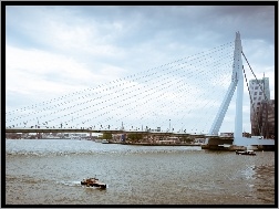Rzeka, Rotterdam, Erasmus Bridge, Holandia