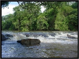 Dżungla, Rzeka, Wodospad