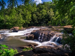 Stan Georgia, Rzeka, Kamienie, High Falls State Park, Stany Zjednoczone, Drzewa