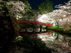 Japonia, Rzeka, Wiosna, Kwitnące, Most, Park, Drzewa