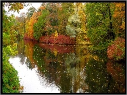 Rzeka, Drzewa, Kolorowe, Jesieni
