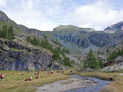 Krowy, Rzeka, Góry