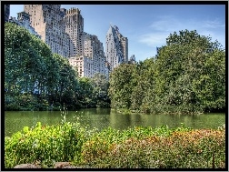 Rzeka, Nowy Jork, Central Park, Wieżowce