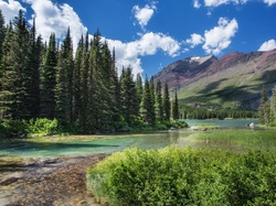 Stan Montana, Las, Góry, Park Narodowy Glacier, Stany Zjednoczone, Rzeka
