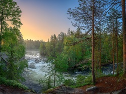 Las, Laponia, Rzeka Kitkajoki, Rzeka, Drzewa, Park Narodowy Oulanka, Finlandia, Wiosna
