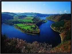 Krzewy, Rzeka, Trawa