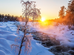 Mgła, Śnieg, Rzeka Juutuanjoki, Wschód słońca, Laponia, Finlandia, Oszronione, Zima, Drzewo