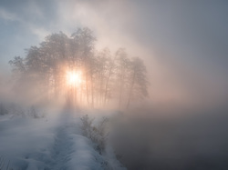 Rzeka, Promienie słońca, Mgła, Zima, Drzewa
