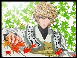 liście, Saiyuki, facet
