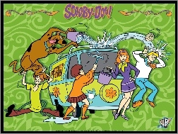 Samochód, Scooby Doo, Pies