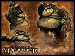 Screen, The Elder Scrolls III: Morrowind