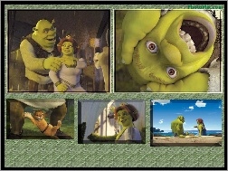 zdjęcia, Shrek 2