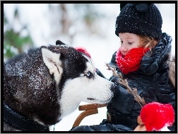 Siberian Husky, Gałązka, Zima, Dziecko, Pies