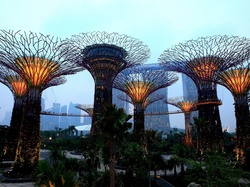Singapur, Hotel, Ogród, Marina Bay Sands