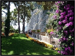 Skała, Capri, Włochy, Kwiaty, Park, Spacerowicze