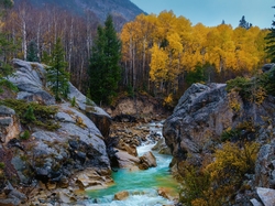 Skały, Stan Kolorado, Góry Skaliste, Przełęcz Independence Pass, Drzewa, Kamienie, Jesień, Stany Zjednoczone, Rzeka