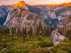 Skały, Góry, Góra, Half Dome, Kalifornia, Stany Zjednoczone, Drzewa, Park Narodowy Yosemite, Roślinność