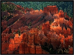 Utah, Kanion, Las, Park Narodowy Bryce Canyon, USA, Skały