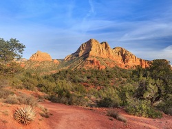Stan Arizona, Skały, Drzewa, Park stanowy Red Rock, Stany Zjednoczone, Czerwone