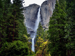 Upper Yosemite Falls, Skały, Park Narodowy Yosemite, Góry, Stany Zjednoczone, Kalifornia, Drzewa, Wodospad