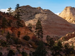 Drzewa, Stan Utah, Stany Zjednoczone, Góry, Park Narodowy Zion, Skały