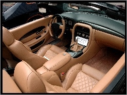 Skóra, Aston Martin DB AR1, Wnętrze