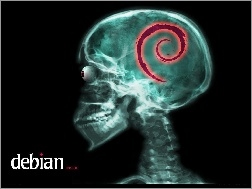 czaszka, ślimak, rentgen, muszla, zawijas, Linux Debian, grafika